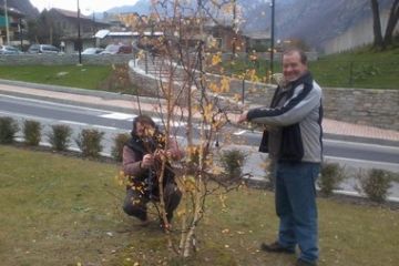 Amministratori e non, al lavoro per la sistemazione delle luci di Natale