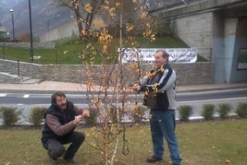 Amministratori e non, al lavoro per la sistemazione delle luci di Natale