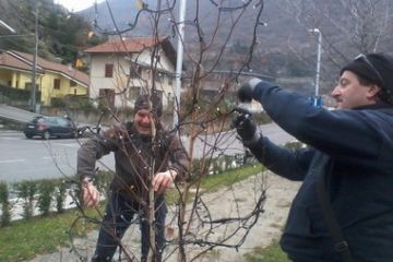 Amministratori e non, al lavoro per la sistemazione delle luci di Natale