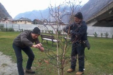 Amministratori e non, al lavoro per la sistemazione delle luci di Natale