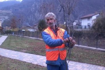 Amministratori e non, al lavoro per la sistemazione delle luci di Natale