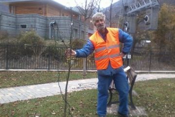 Amministratori e non, al lavoro per la sistemazione delle luci di Natale