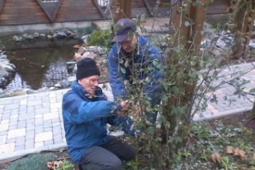 Amministratori e non, al lavoro per la sistemazione delle luci di Natale