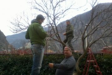 Amministratori e non, al lavoro per la sistemazione delle luci di Natale