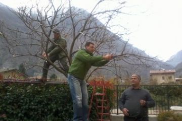 Amministratori e non, al lavoro per la sistemazione delle luci di Natale