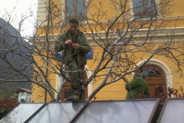 Amministratori e non, al lavoro per la sistemazione delle luci di Natale