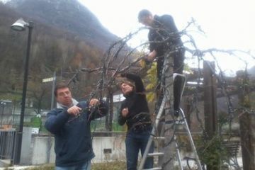 Amministratori e non, al lavoro per la sistemazione delle luci di Natale