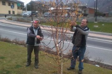 Amministratori e non, al lavoro per la sistemazione delle luci di Natale