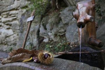 Buat Ivano - Foto selezionata<br>Fontana del Revers