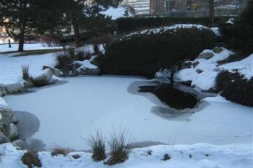 Centro diurno Donnas - Romano Francesco