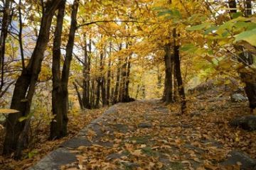 Vicenzi Davide - Foto selezionata<br>Adret, strada militare