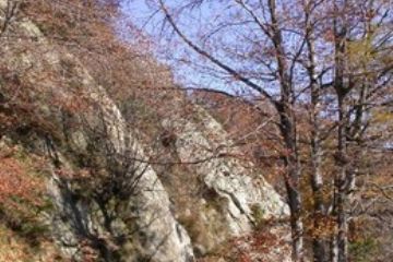 Insediamenti e strade militari - Strada militare della Serre de Biel