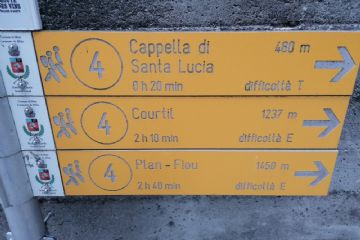 Sfoglia la galleria