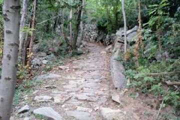 particolare del "Chemin de la Luge" 