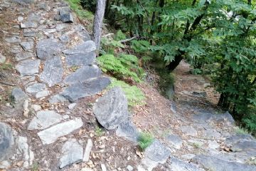 particolare del "Chemin de la Luge"