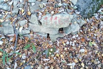 Arrivo del sentiero sul tracciato del canale e indicazione sulla pietra